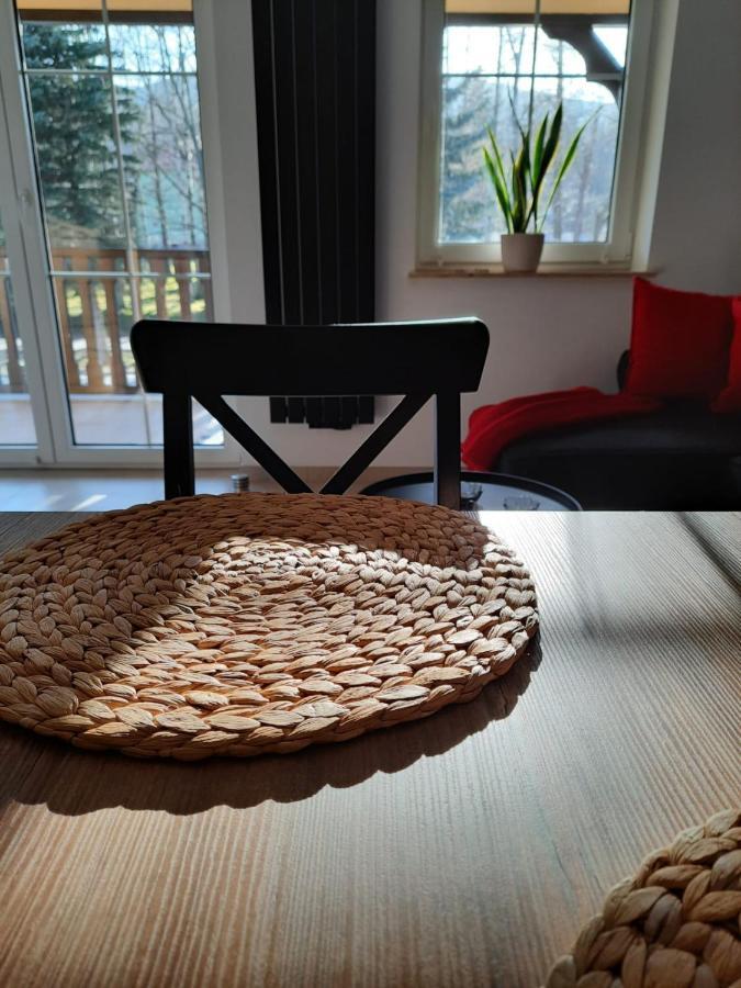 Apartament Felina Świeradów-Zdrój Екстериор снимка